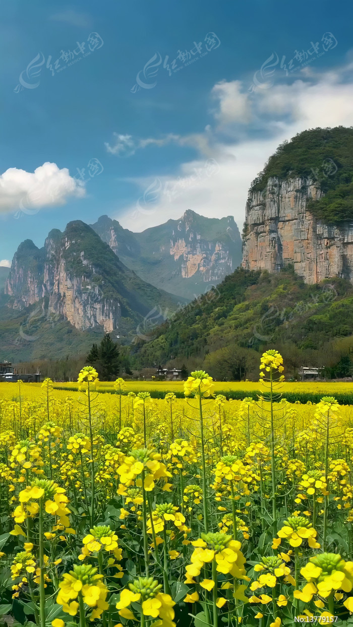 �Ͳ˻�����Զɽ��Ȼ���