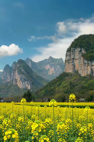 �Ͳ˻�����Զɽ��Ȼ���