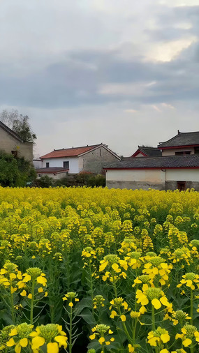 �Ͳ˻����Ե���ʽ����