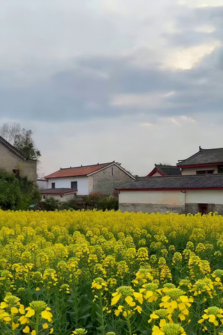 �Ͳ˻����Ե���ʽ����