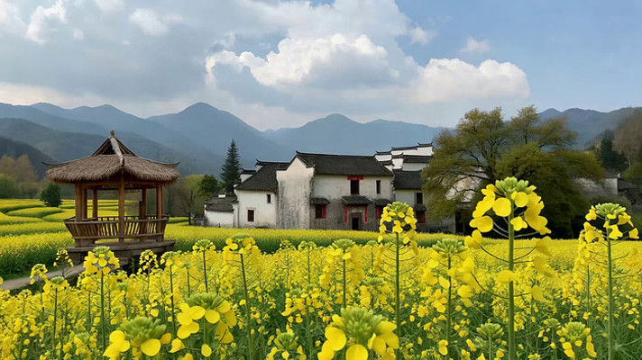 �Ͳ˻�����ʽ������԰���