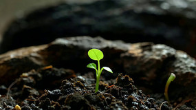 �������������ز�