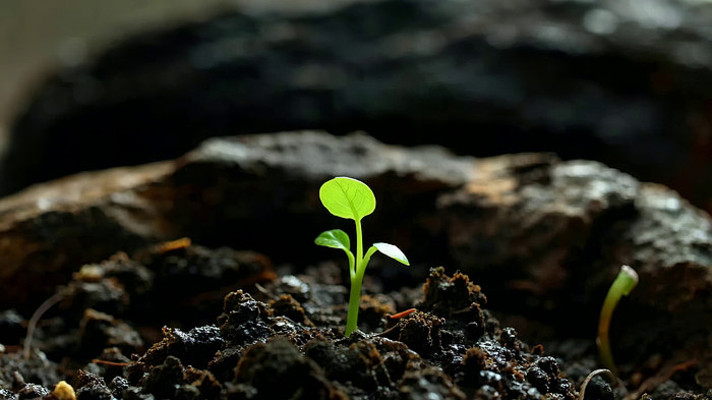 �������������ز�