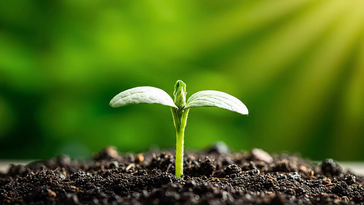 ��������������д