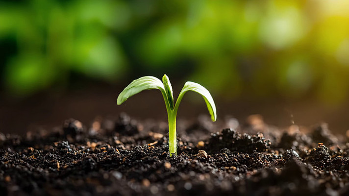 ��������������д