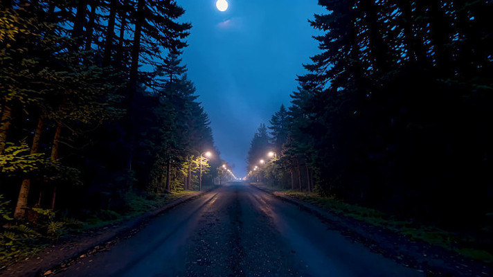月夜下的林间公路 月夜下的林间公路