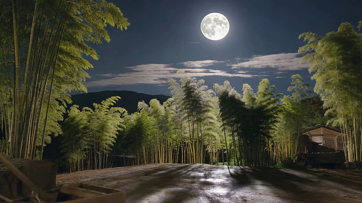 月夜下的竹林风景 月夜下的竹林风景