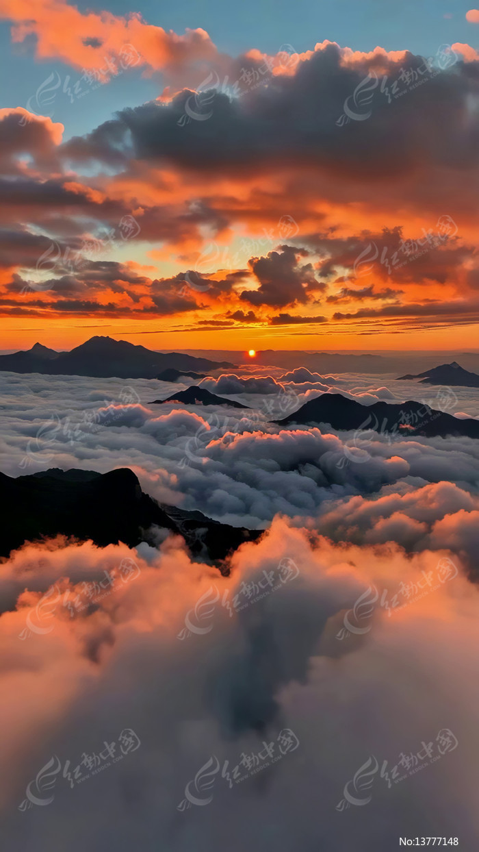 �ƺ�֮�ϵ��ճ�����