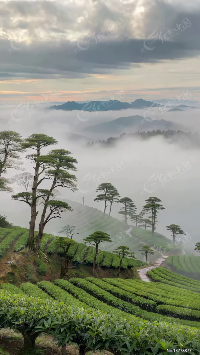 �������ƵĲ�ɽ�羰