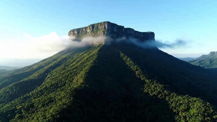 �������Ƶ�ɽ��ɭ�־���