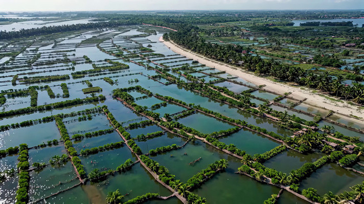 鱼塘航拍全景 鱼塘航拍全景
