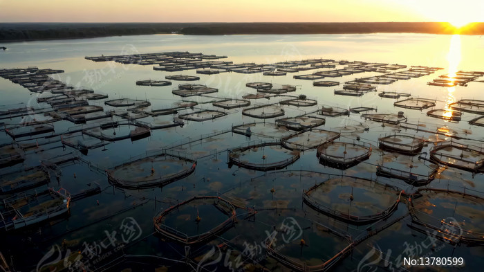 ��������ȫ��