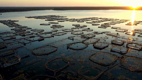 ��������ȫ��