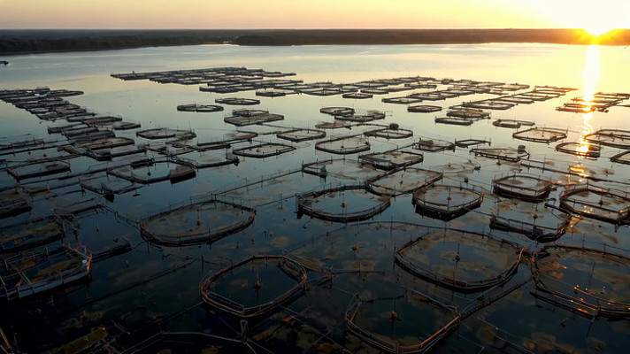 ��������ȫ��