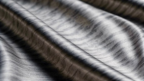 ����˿��������д