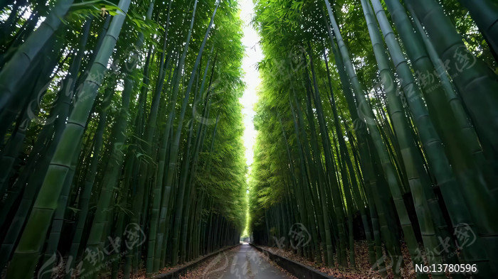 ���ּ������С��