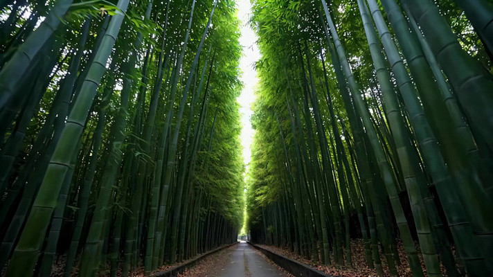 ���ּ������С��