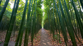 ���ּ��С����Ȼ����ز�