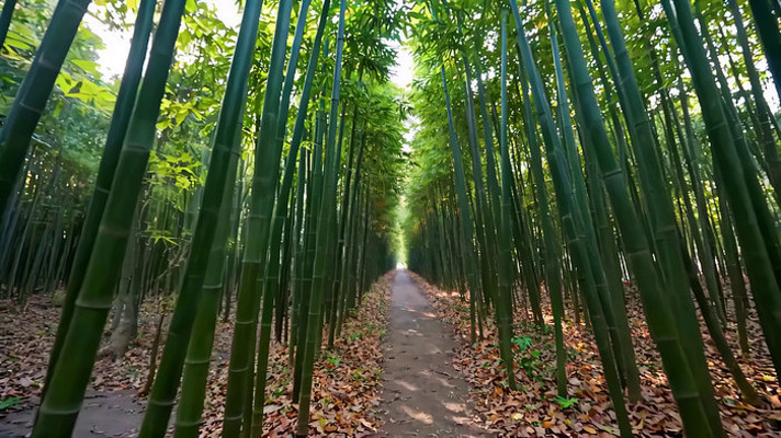 ���ּ��С����Ȼ����ز�