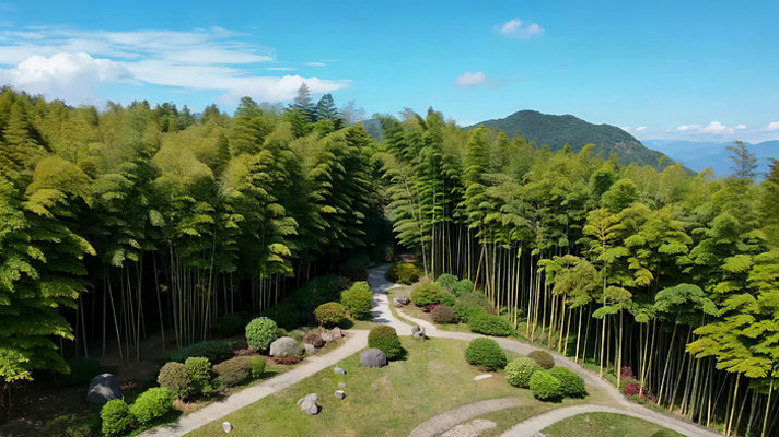 竹林间蜿蜒小路航拍素材 竹林间蜿蜒小路航拍素材