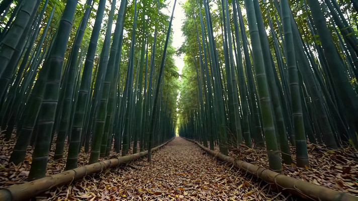 ����С����Ȼ����ز�