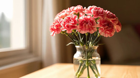 ���ϻ�ƿ�з�ɫ����ܰ�ز�