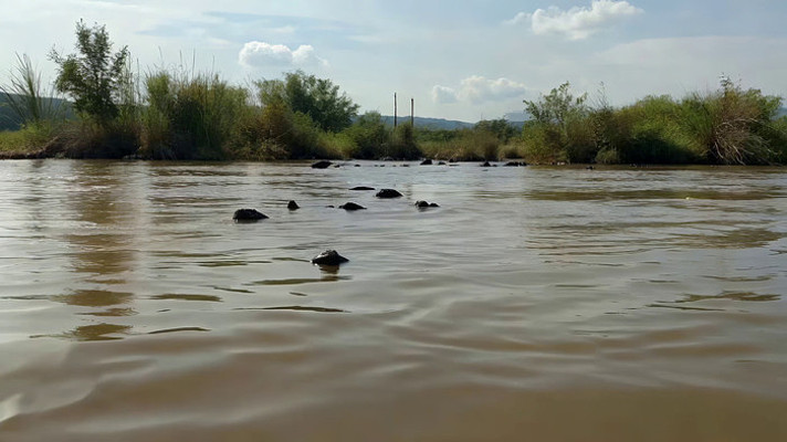 ��Ȼ����������ֲ���� mp4