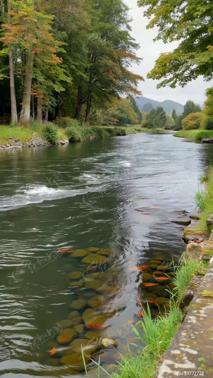 ��Ȼ�����밶�����ַ羰