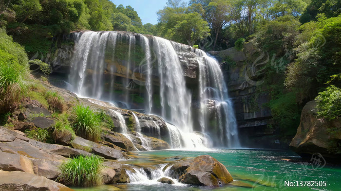 ��Ȼɭ���е��ٲ�����