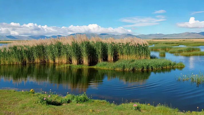 自然湿地湖泊风光景色 自然湿地湖泊风光景色