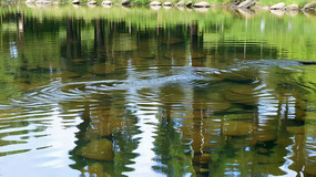 ��Ȼˮ��ˮ�沨���ز�