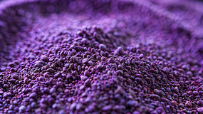 ��ɫ����״��ʳ��д