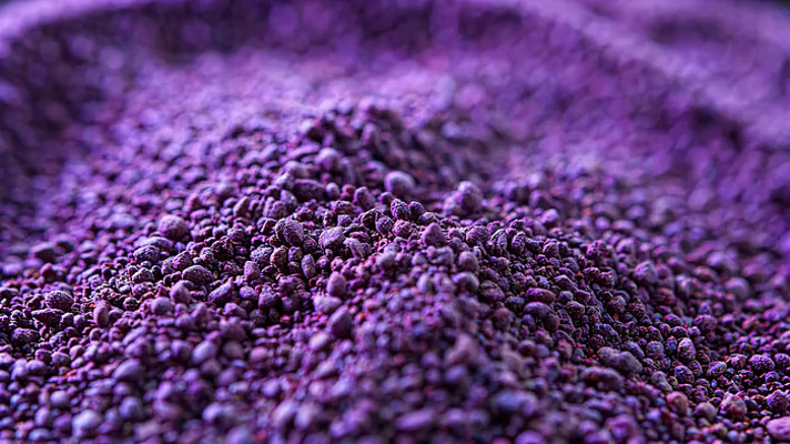 ��ɫ����״��ʳ��д