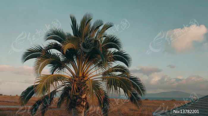 �������Ȼ��⻭��