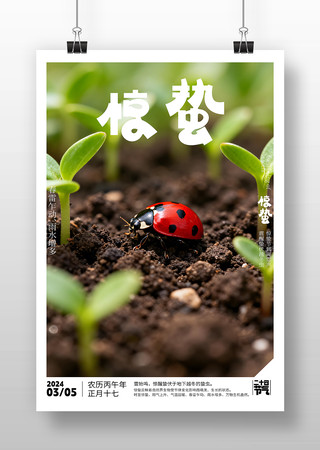 ԭ�����ݽ�������