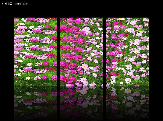 ���Ի���