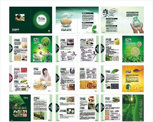 �л�ʳƷ���