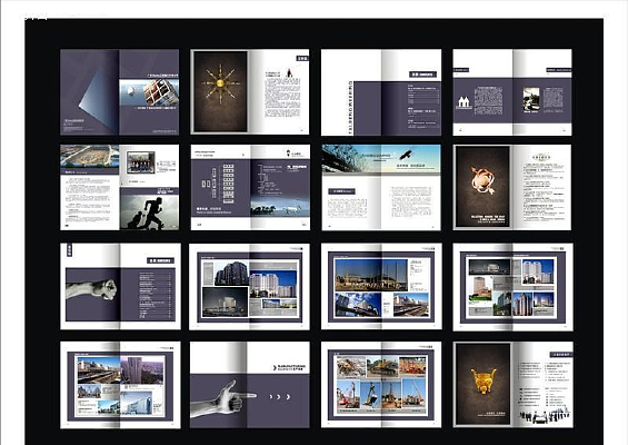 ������˾���� CDR