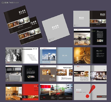 ���񻭲���� CDR