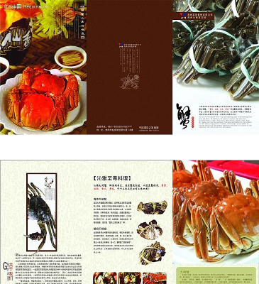 ��Ƶ����ģ��