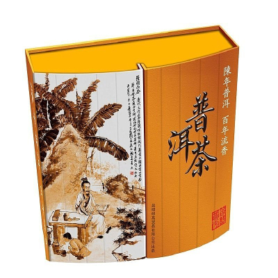 �ն�����а�װ AI