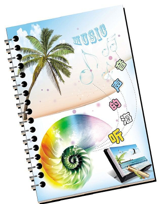 ȫ�±ʼǱ����