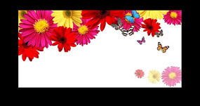 �ʻ�չ��PSDģ������ PSD