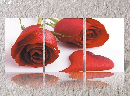 ����õ���޿����