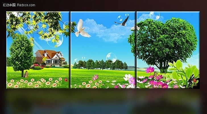 ��������޿����