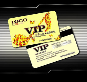 ����VIP�����ģ��