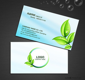 ��Ҷ��Ƭ ������ƬPSD PSD