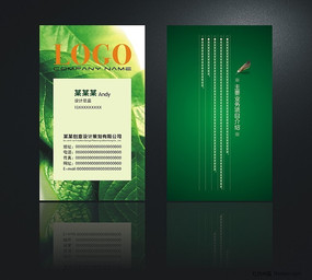 ��Ҷ������Ƭ