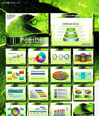 ��ɫҶ�ӻ���PPT