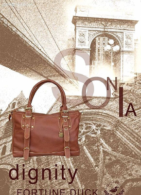 �ִ�����